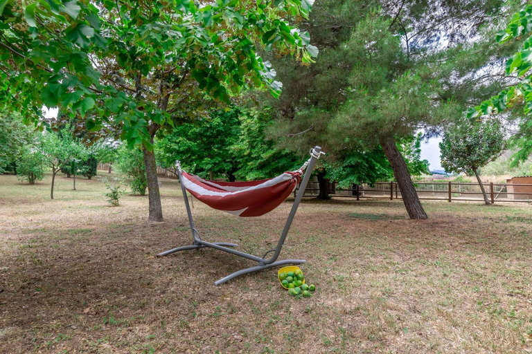 Others 4, Italian Experience-Villa Rosso Corbezzolo, Ascoli Piceno