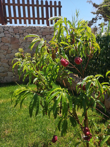 Others 4, Villa Azzurra, Agrigento