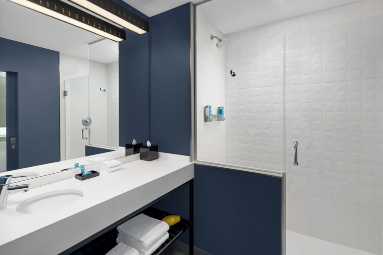 Bathroom 5, Aloft by Marriott Delray Beach, Palm Beach