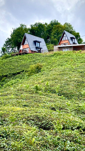 Others 5, Elit Bungalov, Ardeşen
