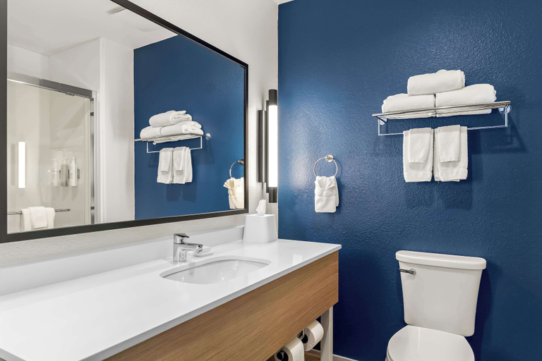 Bathroom 5, Spark by Hilton Missouri City Sugar Land, Fort Bend