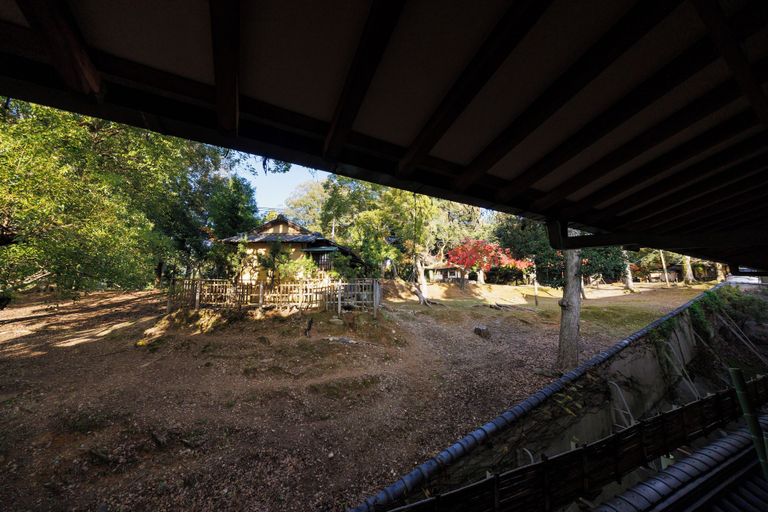 Scenery 7
