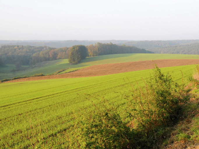 Others 5, Family Villa Near Forest, Luxembourg