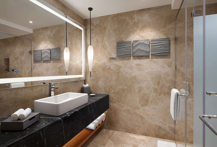Bathroom 4, Hyatt Regency Dehradun Resort and Spa, Dehradun