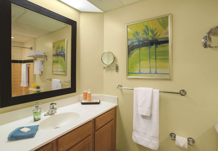 Bathroom 4, Marriott S Ocean Pointe, Palm Beach