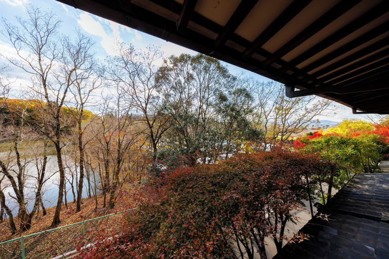 Scenery 19
