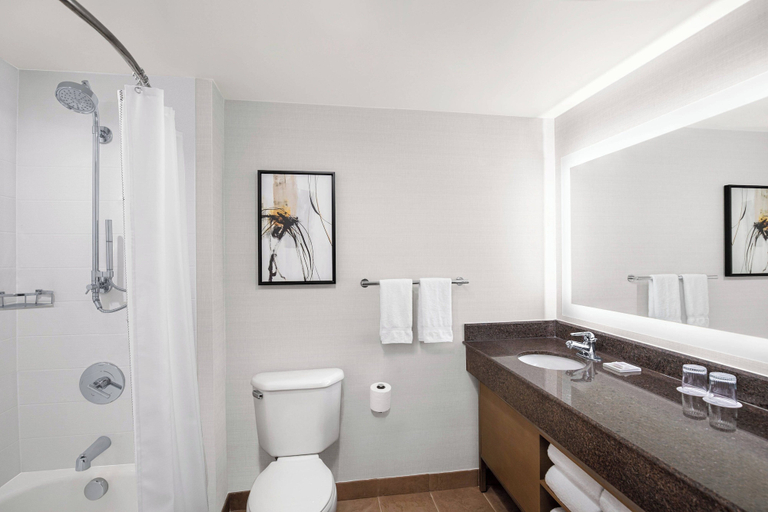 Bathroom, Delta Hotels by Marriott Anaheim Garden Grove, Orange