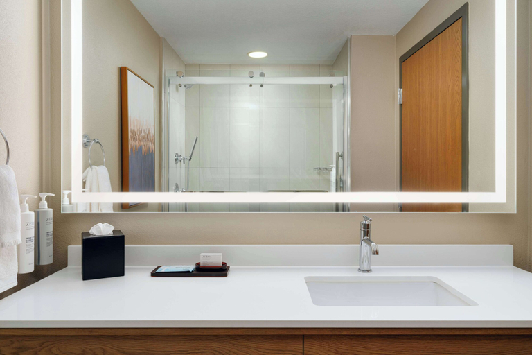 Bathroom 4, Embassy Suites by Hilton Charleston Airport Convention Ctr, Charleston
