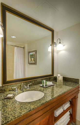 Bathroom 5, DoubleTree Raleigh Durham Airport at Research Triangle Park, Durham