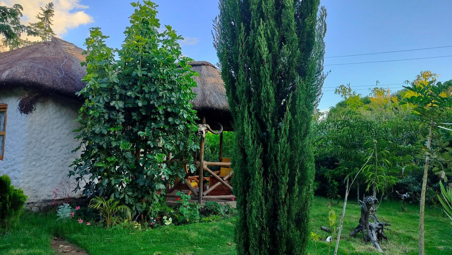 Others 5, Podocarpus cottages, Kieni