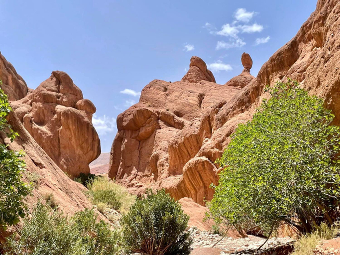 Others 4, ECOLODGE MISS ROSE CHEZ LA FAMILLE, Ouarzazate