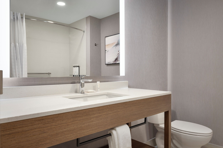 Bathroom 4, Hyatt Place Windsor, Essex