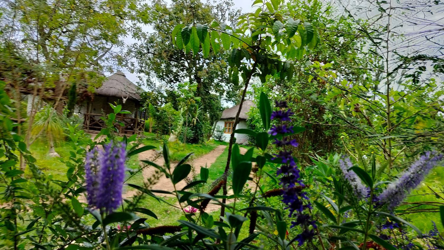 Others 2, Podocarpus cottages, Kieni