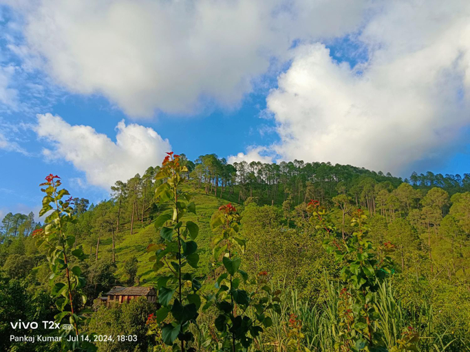 Others 4, Joshi Cottage Binsar, Almora