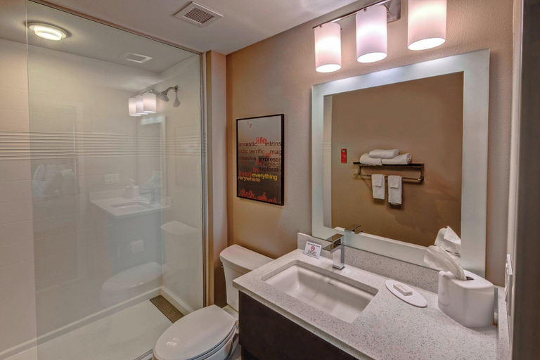 Bathroom 4, TownePlace Suites by Marriott Hot Springs, Garland