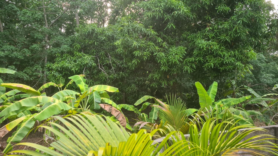Others 4, Surabhi-Nature Villa , Private floor AC, Thiruvananthapuram