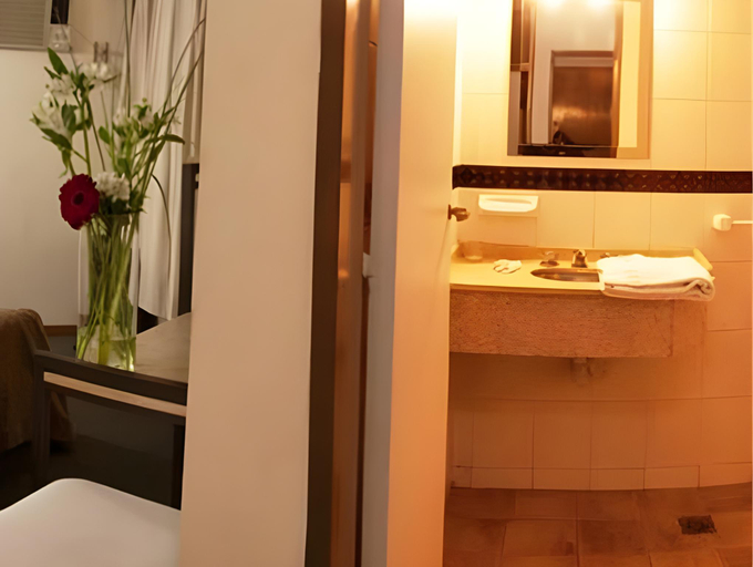 Bathroom 2, Hotel America, Capital