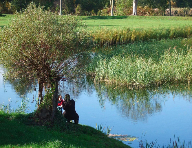 View from property, Ferienwohnungen am Flacher See, Klocksin, Mecklenburgische Seenplatte