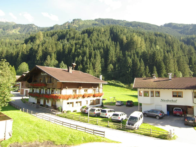 Primary image