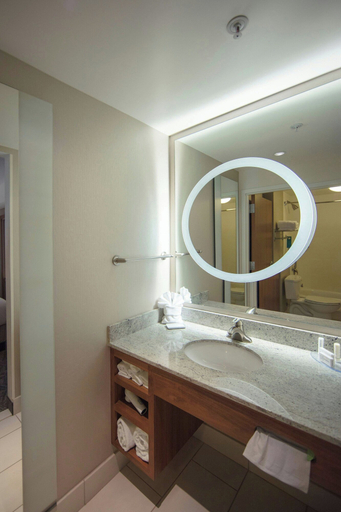 Bathroom 3, SpringHill Suites by Marriott Athens West, Oconee
