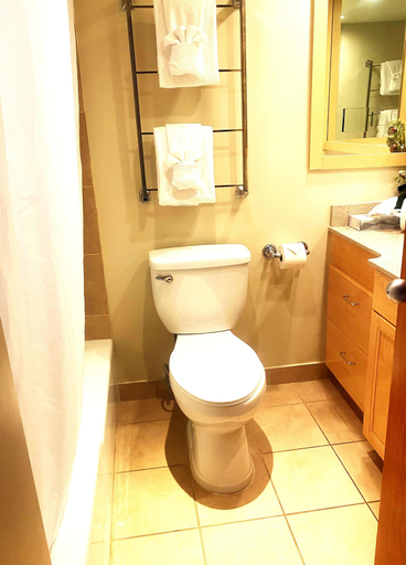 Bathroom 4, Hawaiian Princess at Makaha Beach, Honolulu