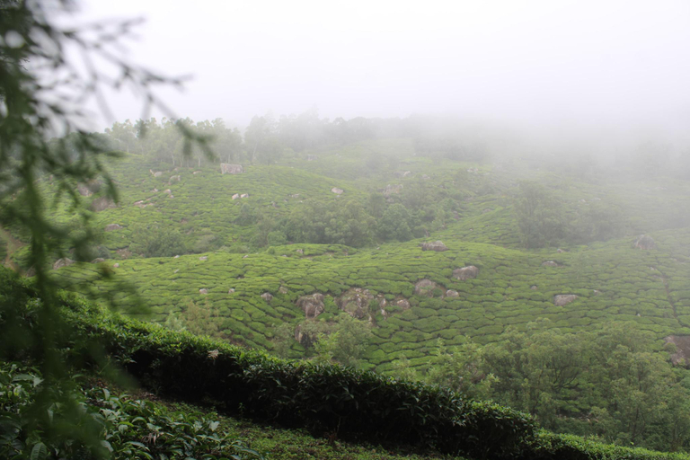 Others 4, Rima leisure stays, Theni