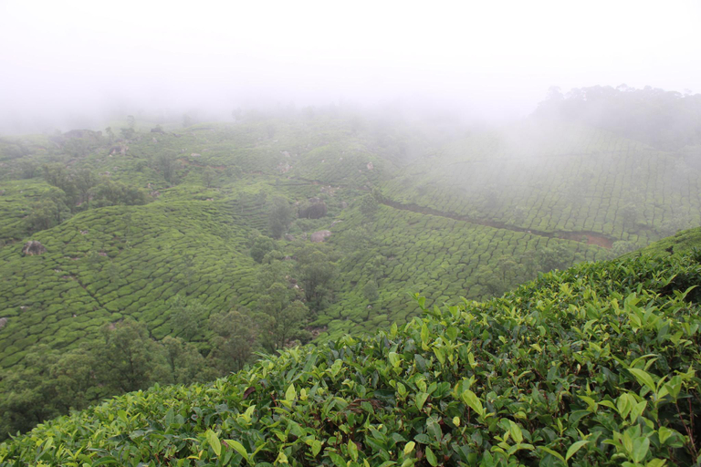 Others 5, Rima leisure stays, Theni