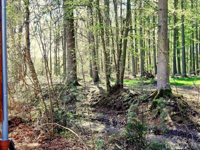 View from property 5, Cozy Holiday Home in Oignies-en-Thiérache near Forest, Namur
