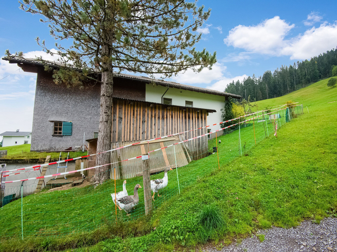 Exterior & Views 2, Chalet in Schwarzenberg Near Ski Lift, Bregenz