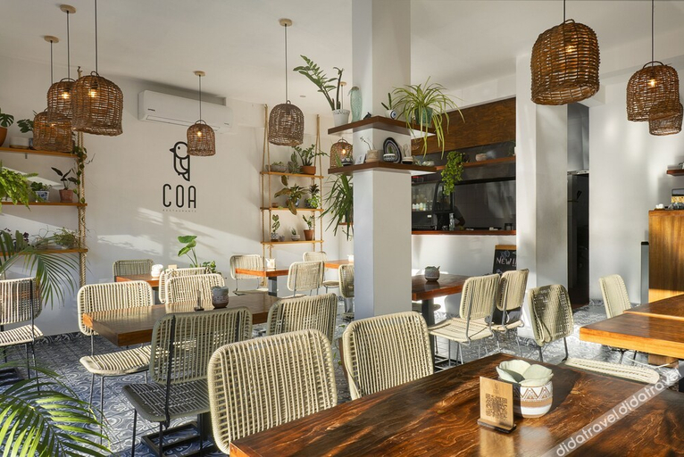 Food & Drinks 4, Terrasse Hotel Playa del Carmen, Cozumel