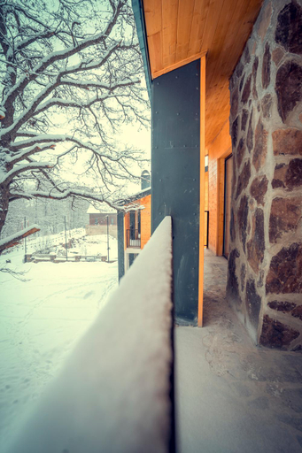 3, Villa In Didveli, Borjomi
