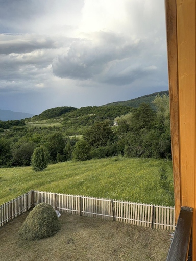 5, woodlandracha, Ambrolauri