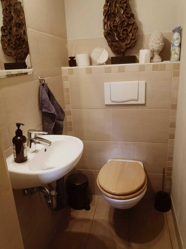 Bathroom 3, Ferienwohnungen Burkhardt, Meißen