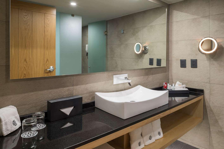 Bathroom 5, Galeria Plaza Reforma, Mexico City
