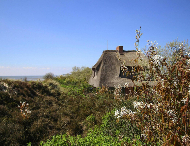 View from property 2, Ferienhaus am Watt, List auf Sylt, Nordfriesland