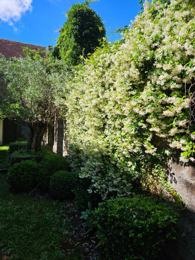 Others 5, Chambre avec salle de bain, Nièvre