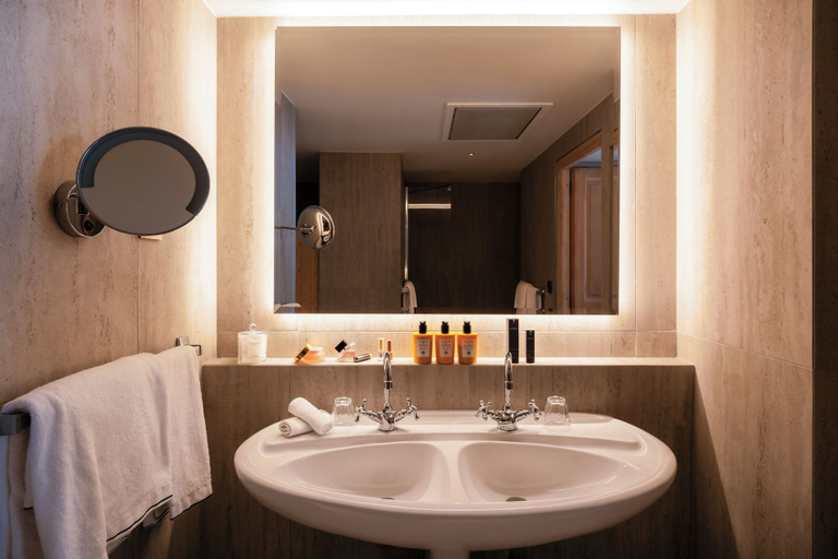 Bathroom 5, Alpes Hotel Du Pralong, Savoie