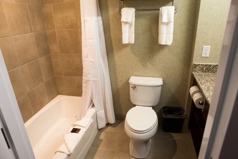 Bathroom 4, Best Western Plus Service Inn & Suites, Division No. 2