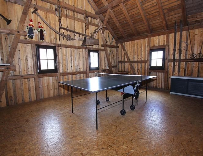 Game room 3, Ferienanlage Landlust, Muhlental, Vogtlandkreis