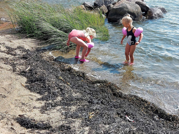 Beach, 4 Star Holiday Home in Skjeberg, Sarpsborg