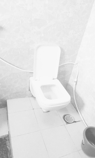 Bathroom 5, Rock Homestay newhampi, Bellary