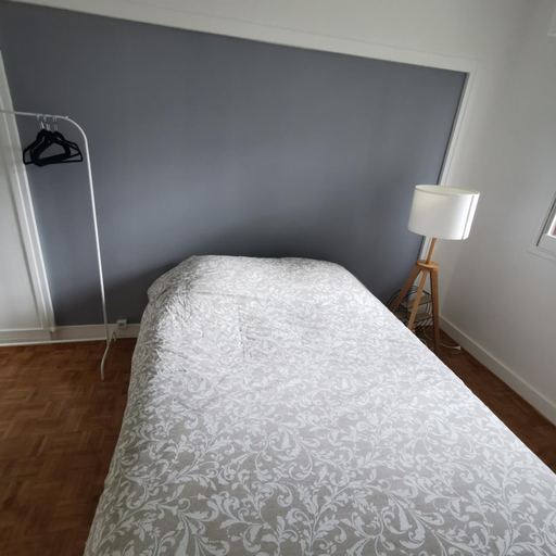 Others 2, Chambre Ananas a saint Marceau, Loiret