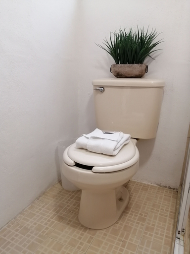 Bathroom 3, Hotel Boutique Casa Mariano, Tepic