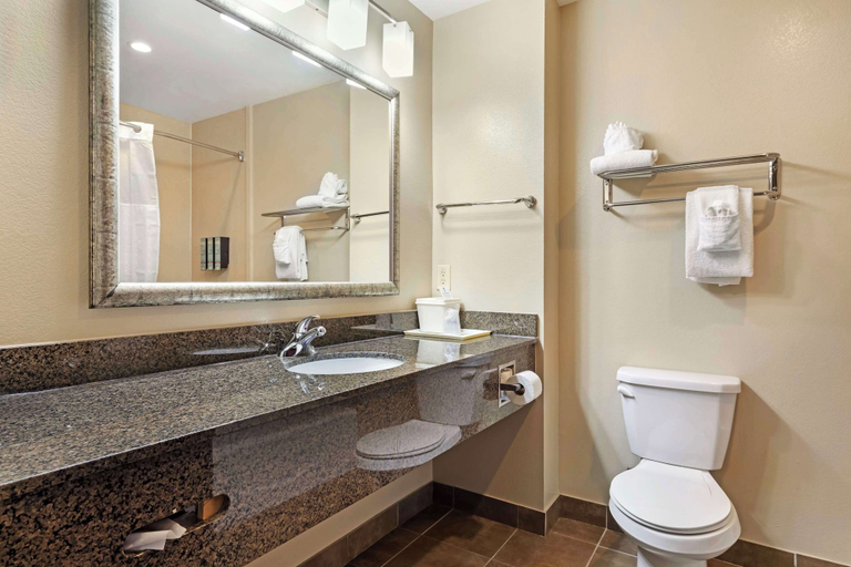Bathroom 5, Best Western Carthage Inn & Suites, Panola