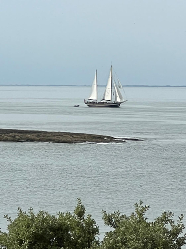 Others 5, Chambre sur la falaise de Pontaillac, Charente-Maritime