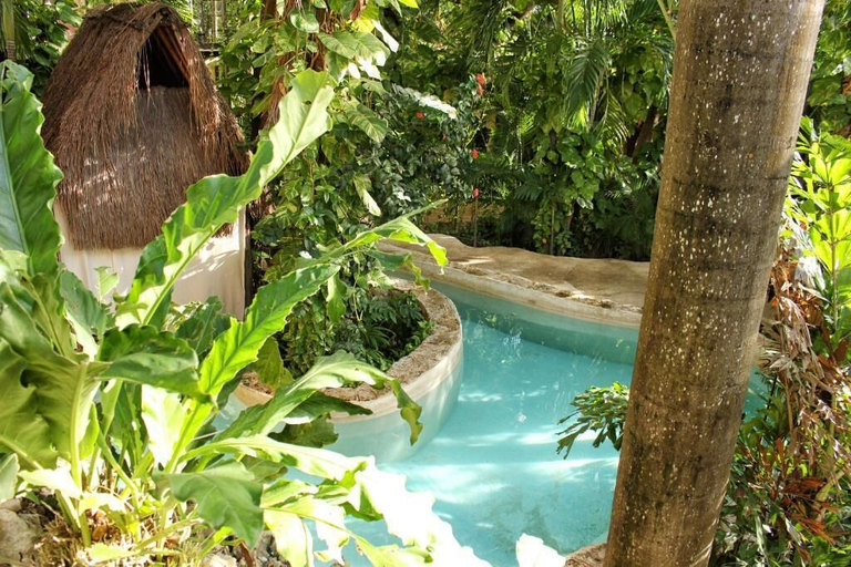 Others 5, ホテルB&B - 5番街, Cozumel