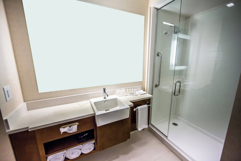 Bathroom 4, SpringHill Suites Lumberton, Robeson