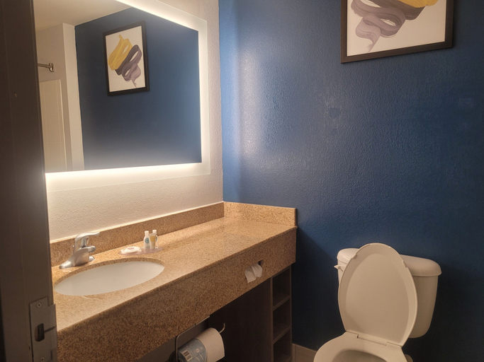 Bathroom 4, Comfort Inn & Suites Dothan Northside Plaza, Houston