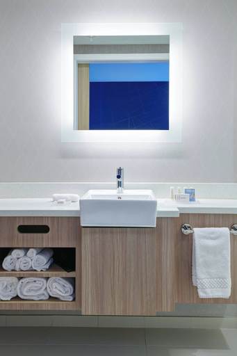 Bathroom 5, SpringHill Suites by Marriott Wixom Novi, Oakland