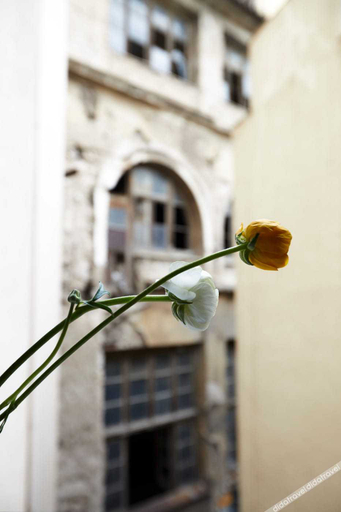 Exterior & Views 2, Gatsby Athens, Attica